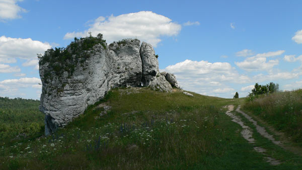 ostatnie zdjecie