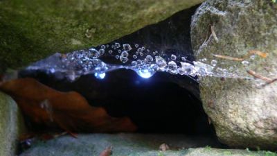 Coniekt�rzy zagl�daj� niemal wsz�dzie fot. Dorota