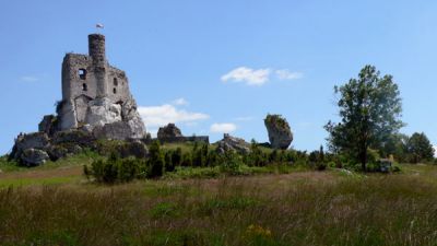 Zamek w Mirowie