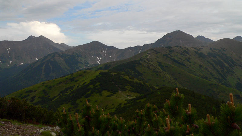 Grześ w Tatrach Zachodnich