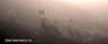 Filename=2betop.jpg
Filesize=14KB
Dimensions=700x293
Date added=Sep 20, 2012 2betop.jpg