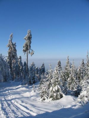 W drodze na Magurk� fot. Dorota